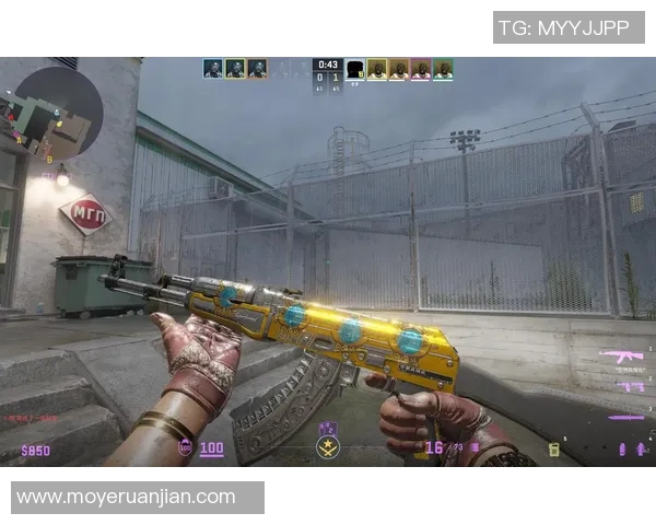 BLG战队的蜕变与成长CSGO纪实探寻背后的故事与挑战