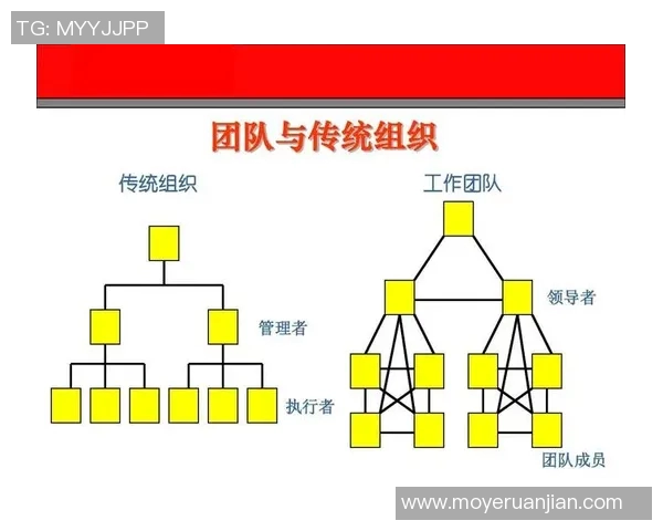 南京网球队灵活性排名创新高展现出色实力与团队协作精神