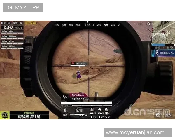 和平精英深度剖析：探寻FPX成功运营背后的秘密与策略