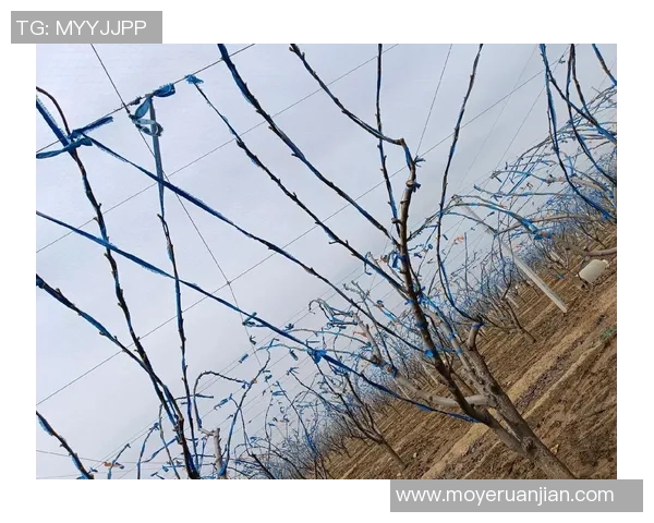 果园生态循环与可持续发展研究：从种植到管理的综合实践与创新探索